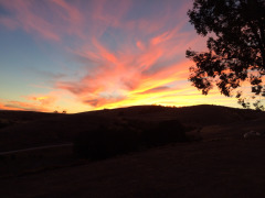 Sunset over the foothills of San Luis Obispo, California at Al Pie Del Cielo Olive Farm and Vineyard