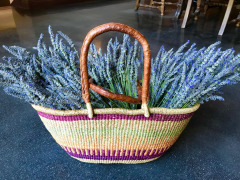 A basket of freshly cut lavender at at Al Pie Del Cielo Olive Farm and Vineyard in San Luis Obispo, California.